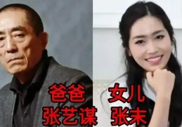 车晓彤(车晓彤的现任妻子何洁)