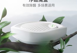 新车除味除甲醛车内(新车车内除甲醛最有效方法)
