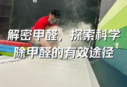 科学除甲醛方法(科学去甲醛的最好办法 知乎)