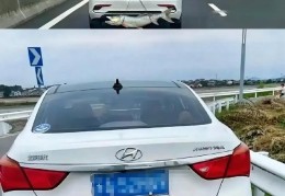 车里的鱼臭味都渗入了怎么办(车内鱼臭味怎么去除)