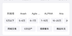 二手车交易app哪个好用点的(二手车交易app哪个好用点的软件)