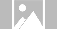 宝马官网查询车辆信息(奔驰车架号查询车辆信息)