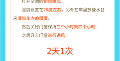 车上甲醛怎么去除最快(车上甲醛对身体有什么危害)