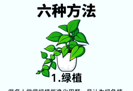 快速去除新车甲醛(去除新车甲醛有什么好方法)