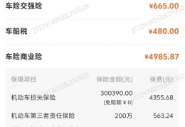 新车汽车保险多少钱(新车保险买多少钱)