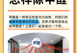 去除甲醛的最快方法是什么(去除甲醛最有效的办法是什么)