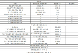 新车第二年保险比第一年便宜多少钱(新车第二年车险价格)