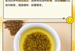 菟丝子的功效作用与主治(菟丝子的功效作用与主治与用量)