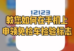 新车到2年了忘领年检标志怎么办呢(新车两年忘领检验标)