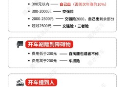 新车保险购买攻略详解视频(新车保险购买流程)