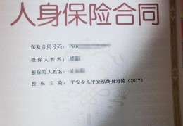 新车买保险需要提供什么证件(新车买保险需要提供什么资料)