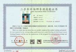 二手车辆评估网(专业的二手车评估网站)