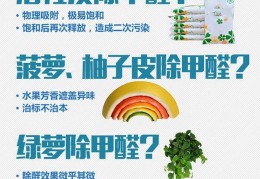 用什么办法能除甲醛(用什么方法能除甲醛)