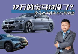 宝马新能源车i3价格(宝马新纯电动bmw i3)