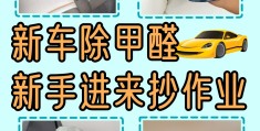 怎样除车内甲醛效果最好呢(车内去除甲醛最有效的方法)