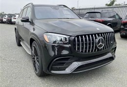 gls300奔驰新款2024款(奔驰e300新款2024款内饰)