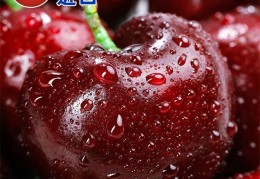车厘子2j3j4j是什么意思(车厘子2j3j4j是什么意思是甜度吗)