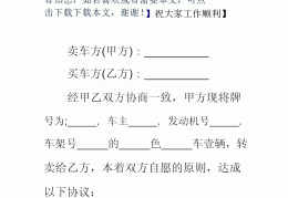 二手车过户协议书范本(二手车不过户免责协议书范本)