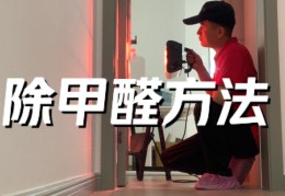 去除甲醛的有效方法有哪些(去除甲醛效果最好的方法)