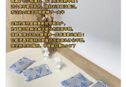 怎么清除甲醛(怎么清除甲醛的方法)