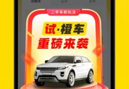 购二手车app软件哪个好啊(购买二手车app哪个最好)