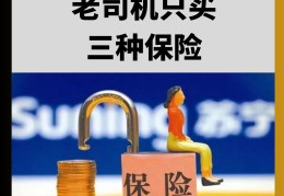 老司机买保险买哪几个险最实惠(老司机一般买哪3种保险)