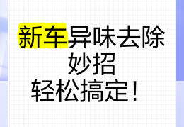 新车内的气味怎么除掉(新车内异味怎么彻底清除)
