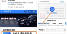 输入车架号查车辆信息的软件(输入车架号查车辆信息的软件TL87o430JJ8754442)