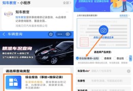 输入车架号查车辆信息的软件(输入车架号查车辆信息的软件TL87o430JJ8754442)