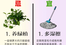 如何有效去除甲醛的方法小妙招(教你几个去除甲醛的妙招)