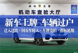 新车是先上牌再买保险吗(新车应该先上牌照还是先办保险)