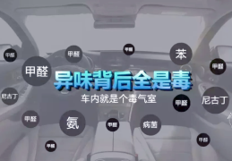 新车除甲醛哪个牌子好(新买汽车除甲醛)