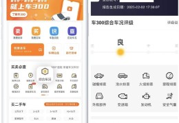 二手车子评估价格查询系统(二手车评估报价查询)