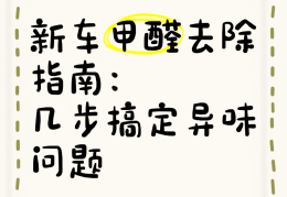 怎样快速去除新车异味(如何快速去除新车异味)