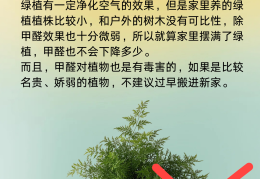 快速除甲醛最有效(快速除甲醛最有效方法)