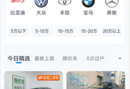 二手车平台查询系统(二手车平台查询系统有哪些)