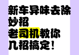 快速清除新车里的味道的方法(快速清除新车里的味道的方法视频)