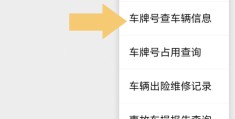 输入车架号查车辆信息的软件(输入车架号查车辆信息的软件雅迪)