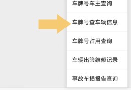 输入车架号查车辆信息的软件(输入车架号查车辆信息的软件雅迪)