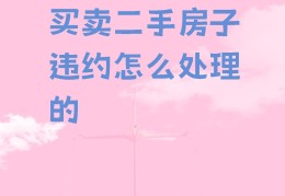 二手房买卖最好的平台有哪些(二手房买卖最好的平台有哪些呢)