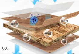 去甲醛味用什么方法(去甲醛味用什么方法最快植物)