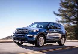 2020最受欢迎的suv(2020最受欢迎的月季品种)