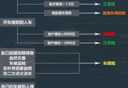 车险第二年续保要买哪些险种(车险第二年续保要买哪些险种的)