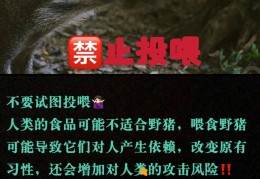 热闻关注(热闻资讯)
