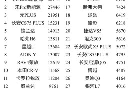汽车热搜榜排名前十名图片(汽车热搜榜排名前十名图片大全)