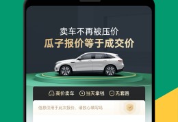 瓜子二手车卖车要手续费用吗(瓜子二手卖车收多少手续费)