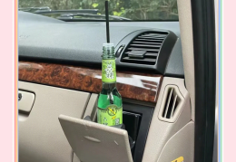 新车里放什么除味(新车放什么除味道和甲醛)