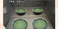 车内除甲醛步骤(车内除甲醛有效果吗)