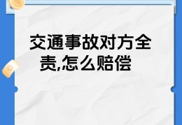 车子被撞对方全责应该要哪些费用(车被撞了对方全责怎么处理流程)