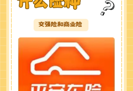 车保险都买哪些(车保险买哪些项目)